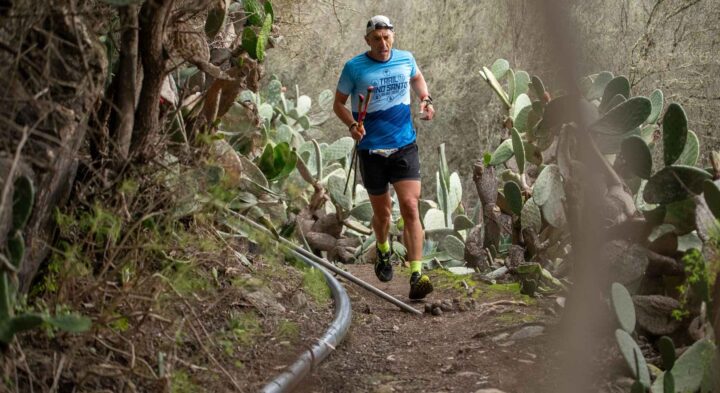 Corredor corriendo por naturaleza Trail Pino Santo 2025