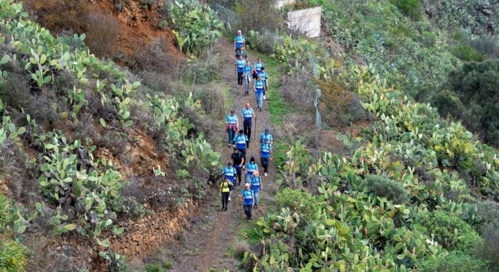 Senderistas Trail Pino Santo 2025